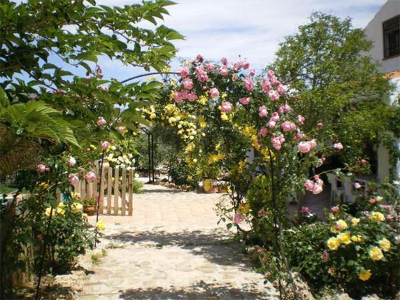 Casas Rurales Cazorla-Alcon Pozo Alcón 部屋 写真