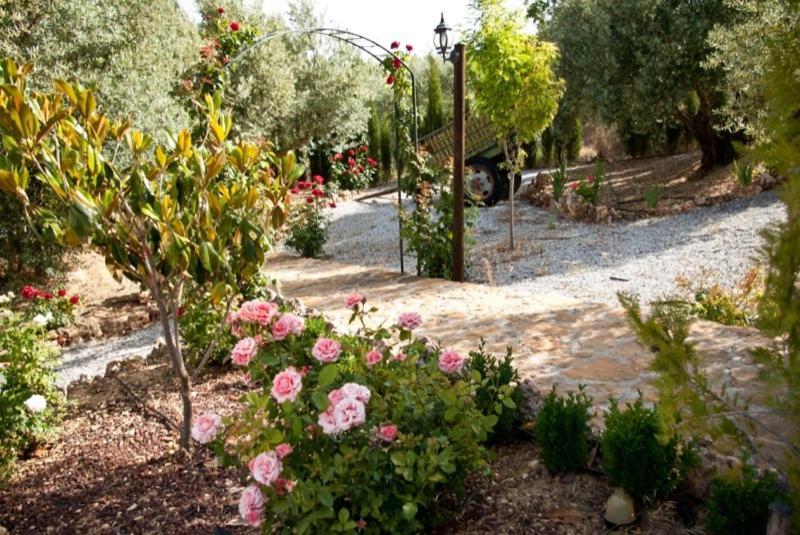 Casas Rurales Cazorla-Alcon Pozo Alcón 部屋 写真