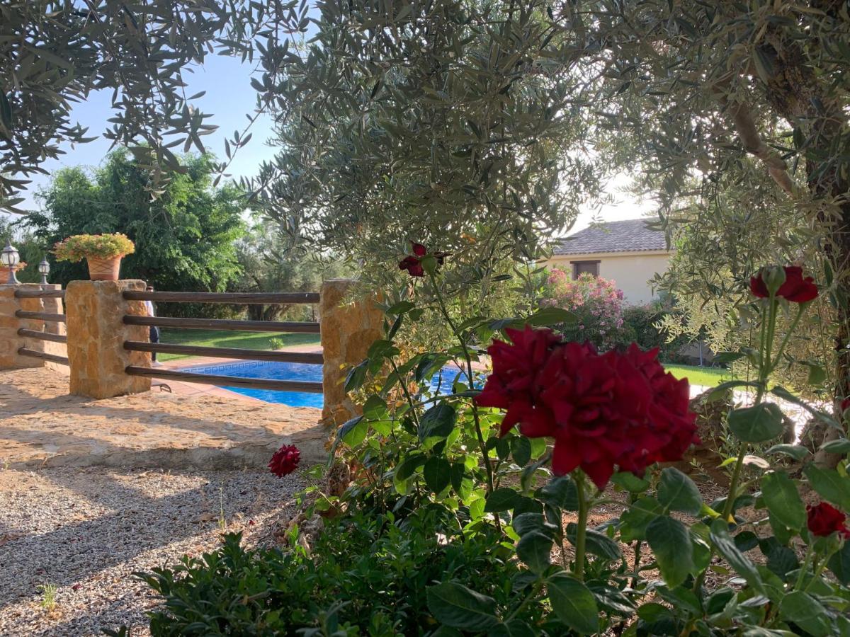Casas Rurales Cazorla-Alcon Pozo Alcón エクステリア 写真