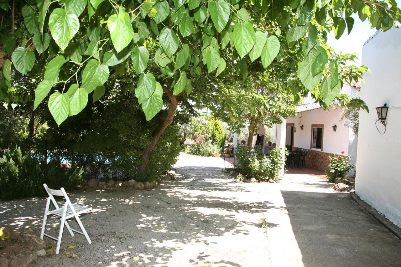 Casas Rurales Cazorla-Alcon Pozo Alcón エクステリア 写真